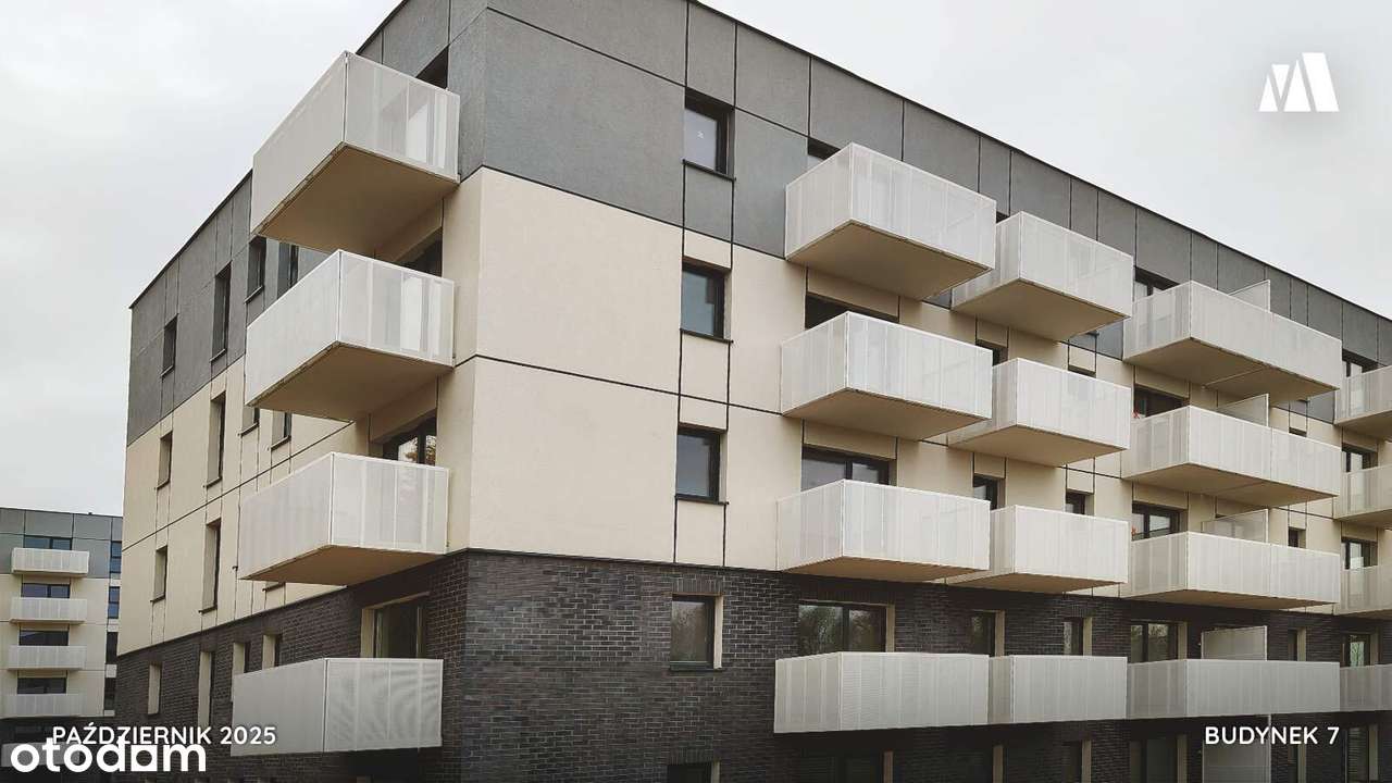 3 pok Szafirowa / OGRÓDEK! / Rabat - Pełny obrazek: 4/12