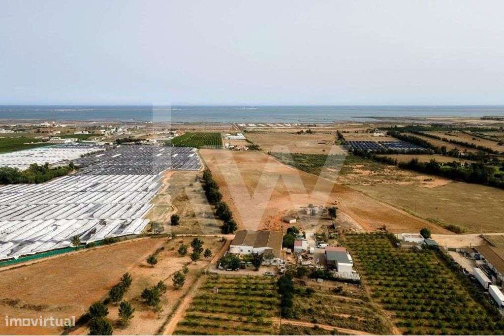 TERRENO AGRICOLA | |COM FURO DÁGUA | POTENCIAL PARA ALOJAMENTO AGRICOL - Grande imagem: 5/21