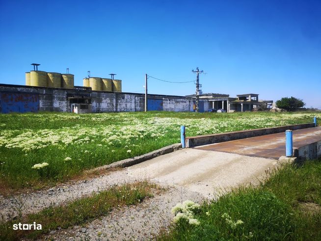 Ferma cu teren 17 HA/pretabil parc fotovoltaic licitatie 03.04.2025-1
