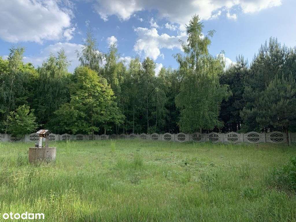 dom w środku lasu gm. Izbica Kujawska woj Kujawsko-6