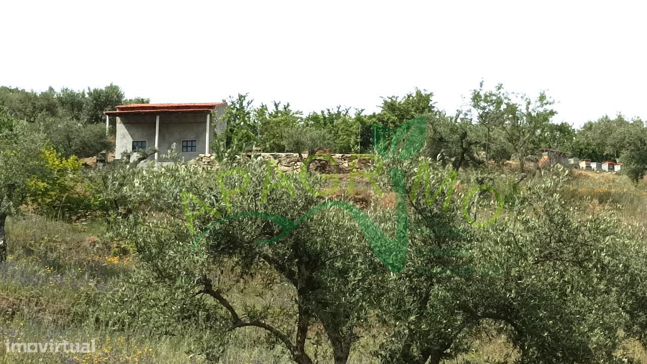 Terreno Rústico "Santo António", Souto, Penedono