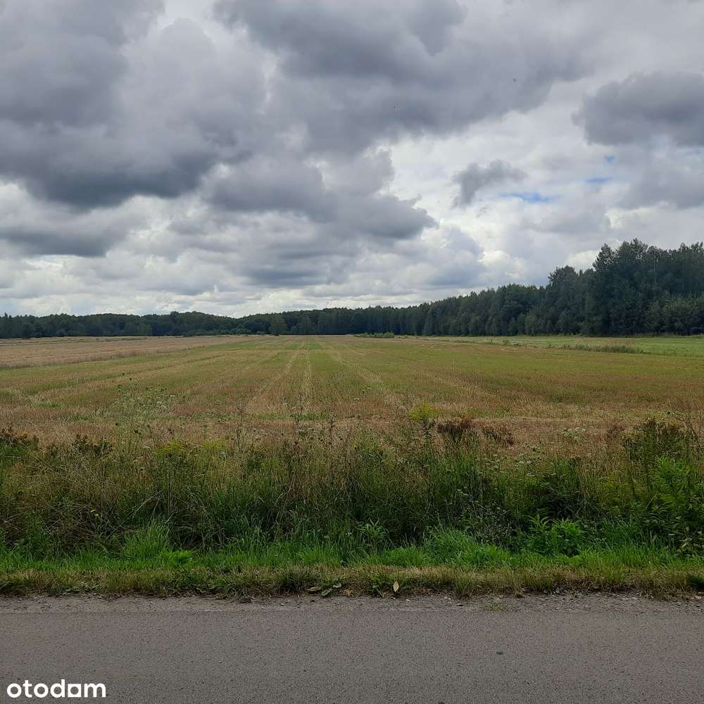 Działka budowlana Aleksandria, Puszcza Mariańska-8