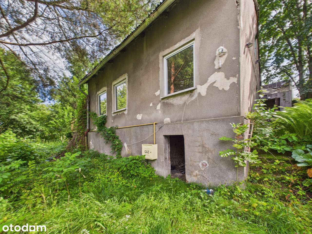 Zielona Działka z Własnym Źródłem i Stawem w Świetnej Lokalizacji!-0