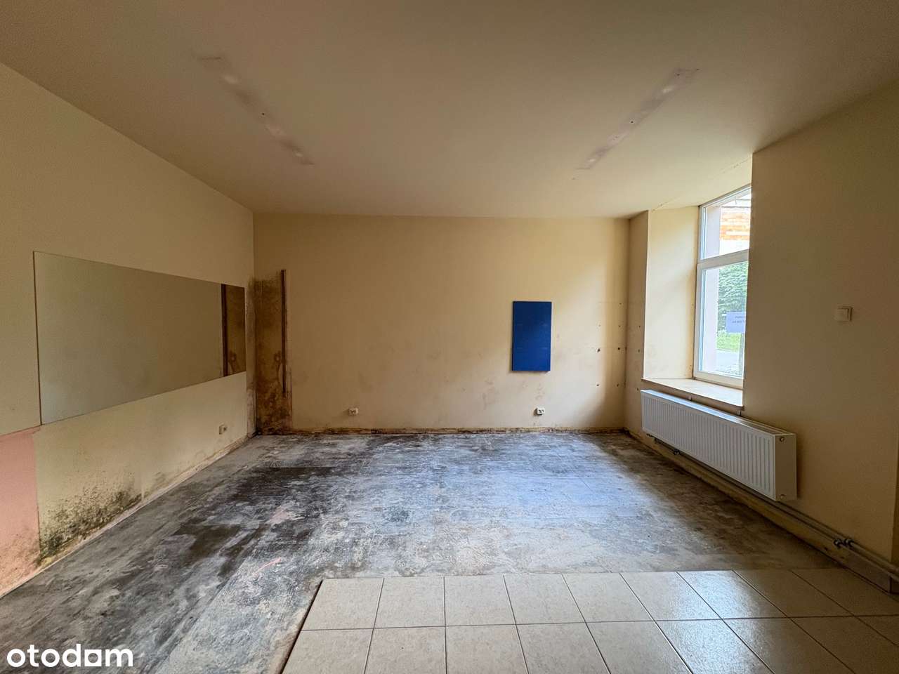 LOKAL UŻYTKOWY 63m2 | Parter, Możliwość Podziału | Łódź Kowieńska 17-4