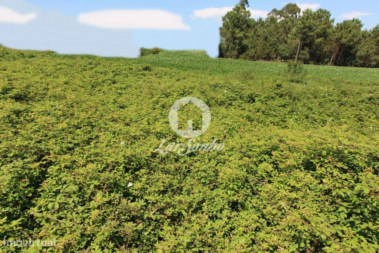 Terreno para construção - Grande imagem: 5/29