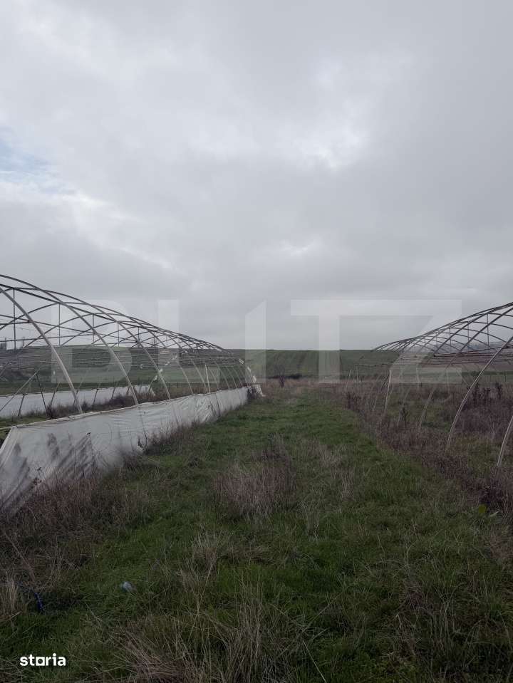 Teren intravilan agricol, sere, anexa agricola, 11500 mp teren, Sopot - Imagine principală: 4/9