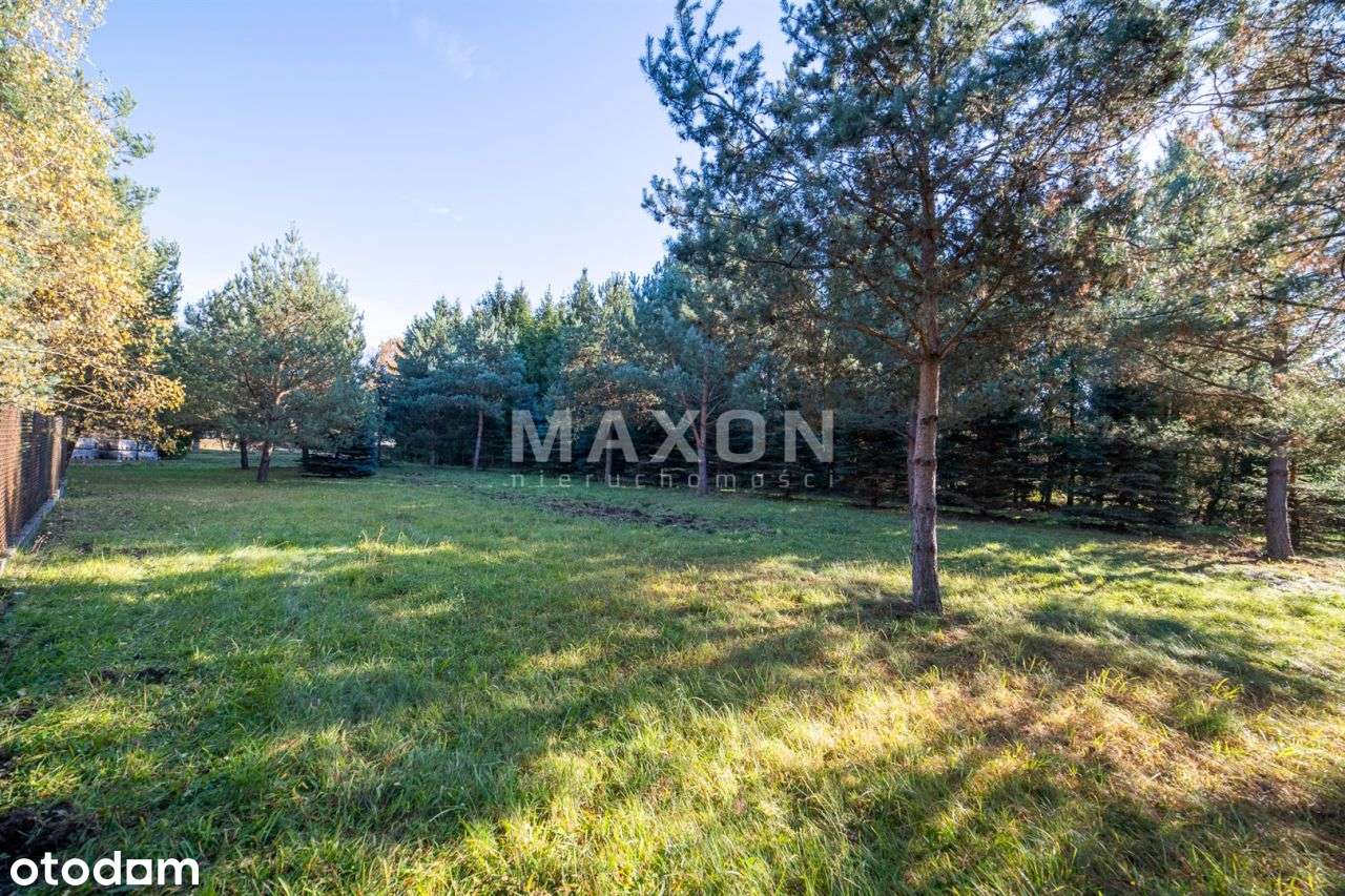 Grunt na sprzedaż - Skrzeszew 4 493 m2 - Pełny obrazek: 4/9