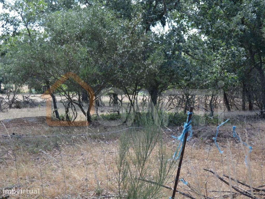 Terreno à venda em Casal Cinza - Grande imagem: 5/25
