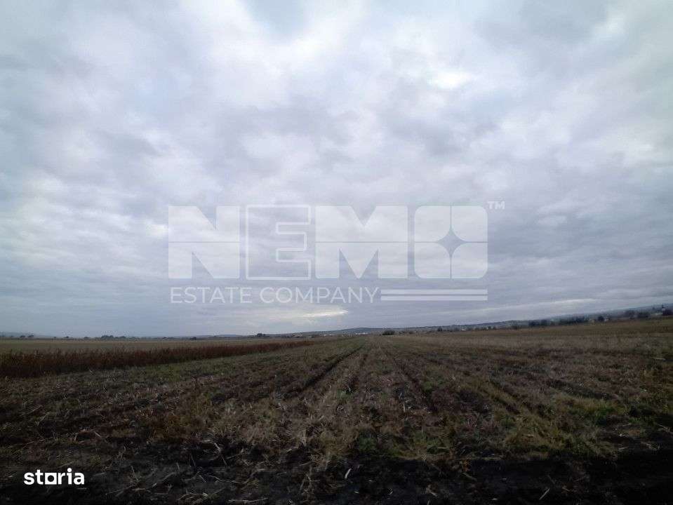 TEREN | Radauti | 6.000 mp | 62.800 EURO - Imagine principală: 4/5