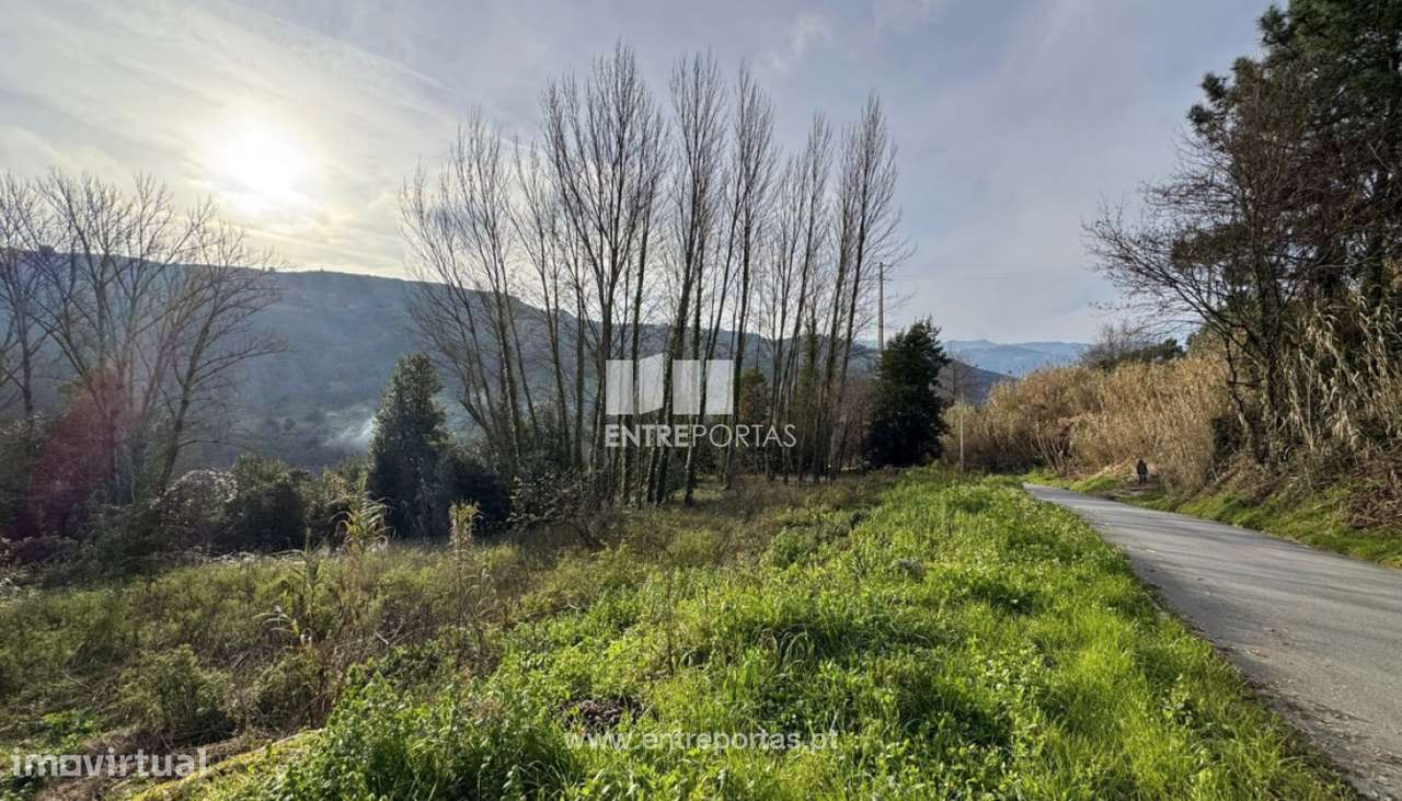 Venda Terreno, Loivos da Ribeira e Tresouras, Baião - Grande imagem: 5/29