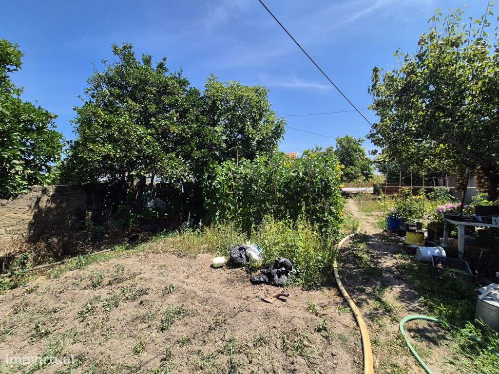 Terreno-plano-com -viabilidade de construção- Paião- Figueira da Foz - Grande imagem: 5/20