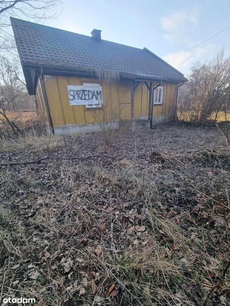 Do sprzedania Dom 80 m2 na działce 4600m2 Czermno - Pełny obrazek: 4/13