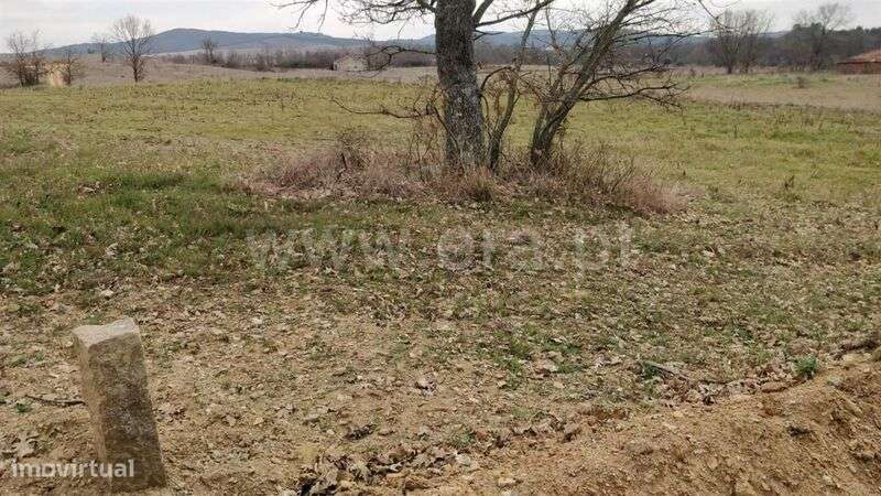 Terreno Rústico / Fundão, Capinha - Grande imagem: 2/13