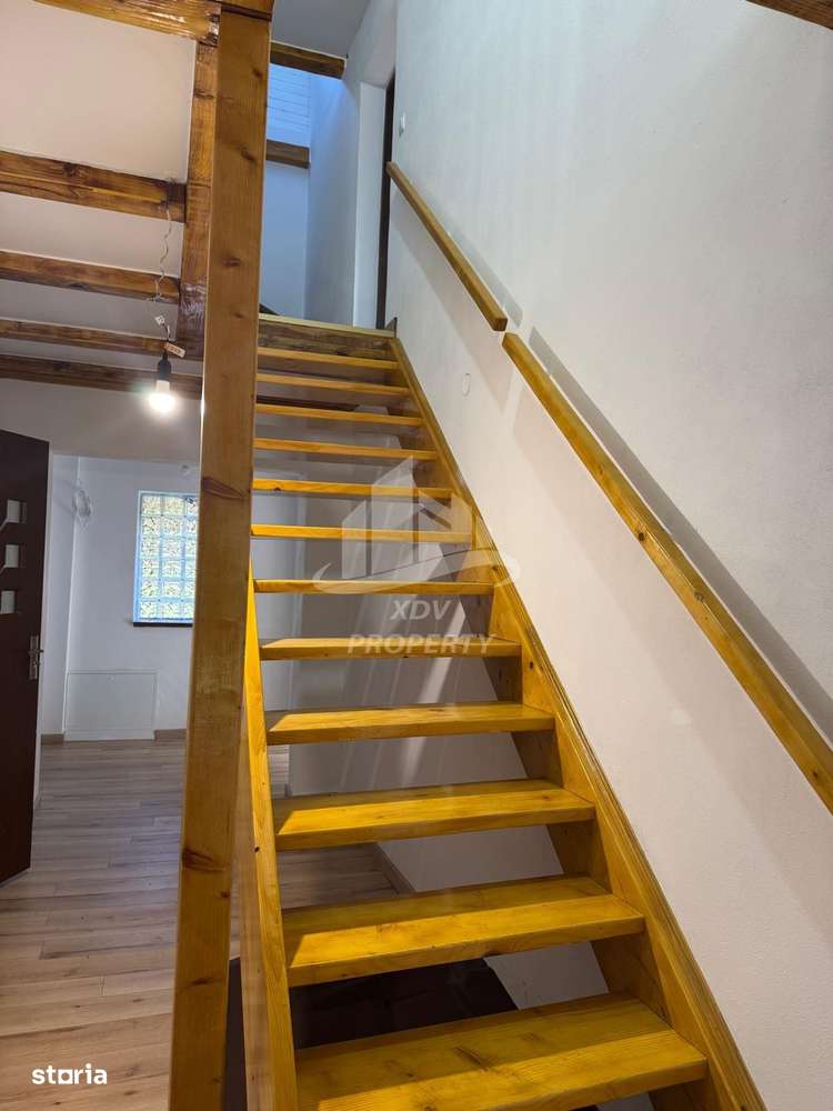 Pensiune/ Vila Valea Avrigului-13