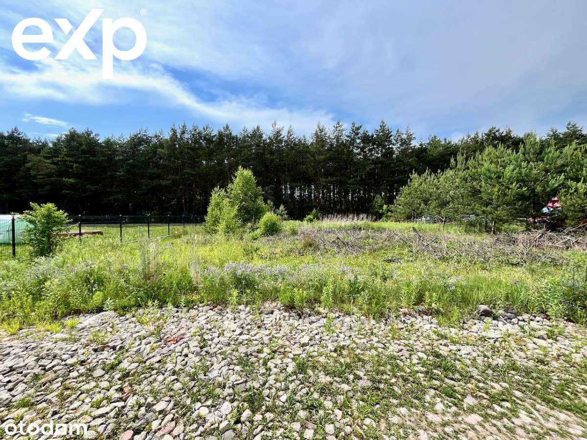Działka budowlana, sąsiedztwo lasu - Pełny obrazek: 5/12