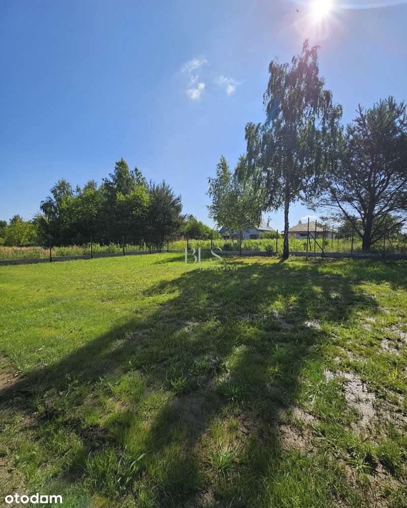 Stan deweloperski-13