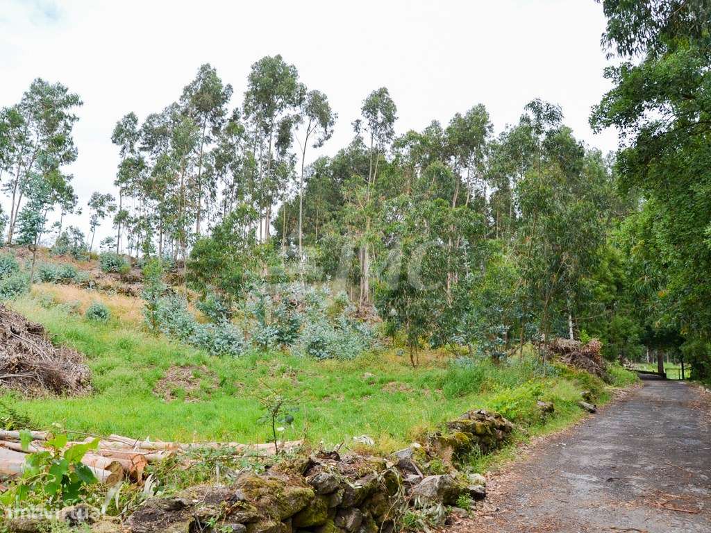 Terreno Milheirós para Moradias-15