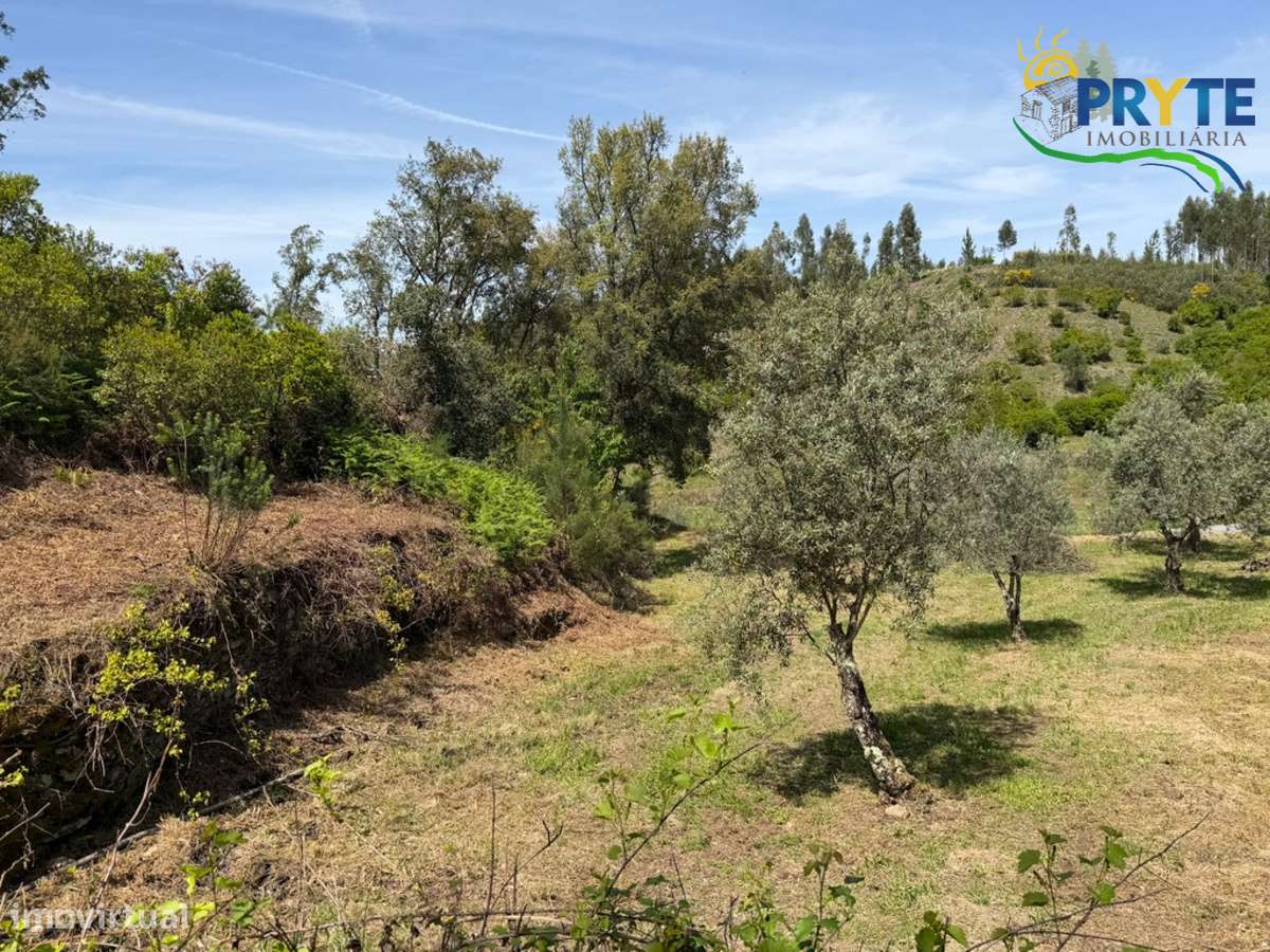 Terreno com uma ruína não registada a 6 quilómetros da Sertã-17