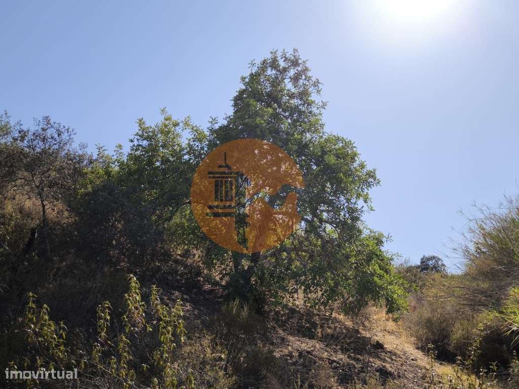 TERRENO RÚSTICO COM 2.360 M2 PROXIMO A ALDEIA DA CORTE DO GAGO - CA... - Grande imagem: 4/19