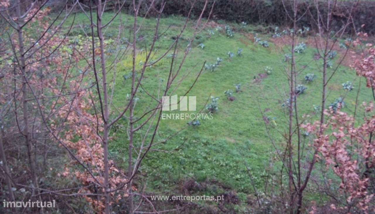 Venda Terreno, Campelo, Baião - Grande imagem: 5/30