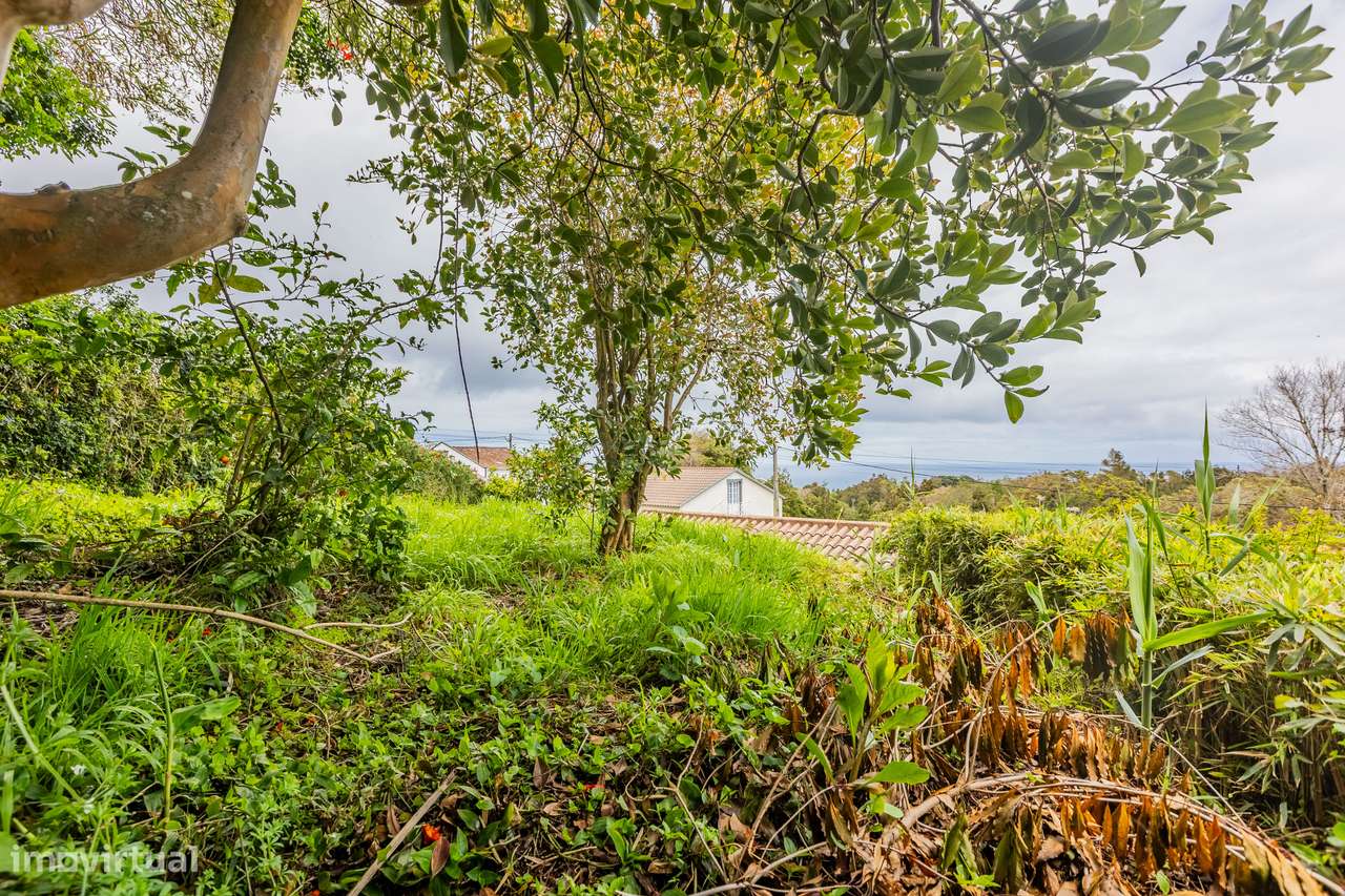 Moradia na Lomba da Fazenda - Grande imagem: 3/11