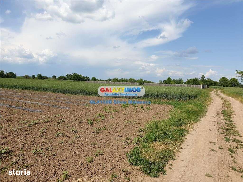 Crevedia - Darza - Teren 13.055 Mp - Imagine principală: 5/9