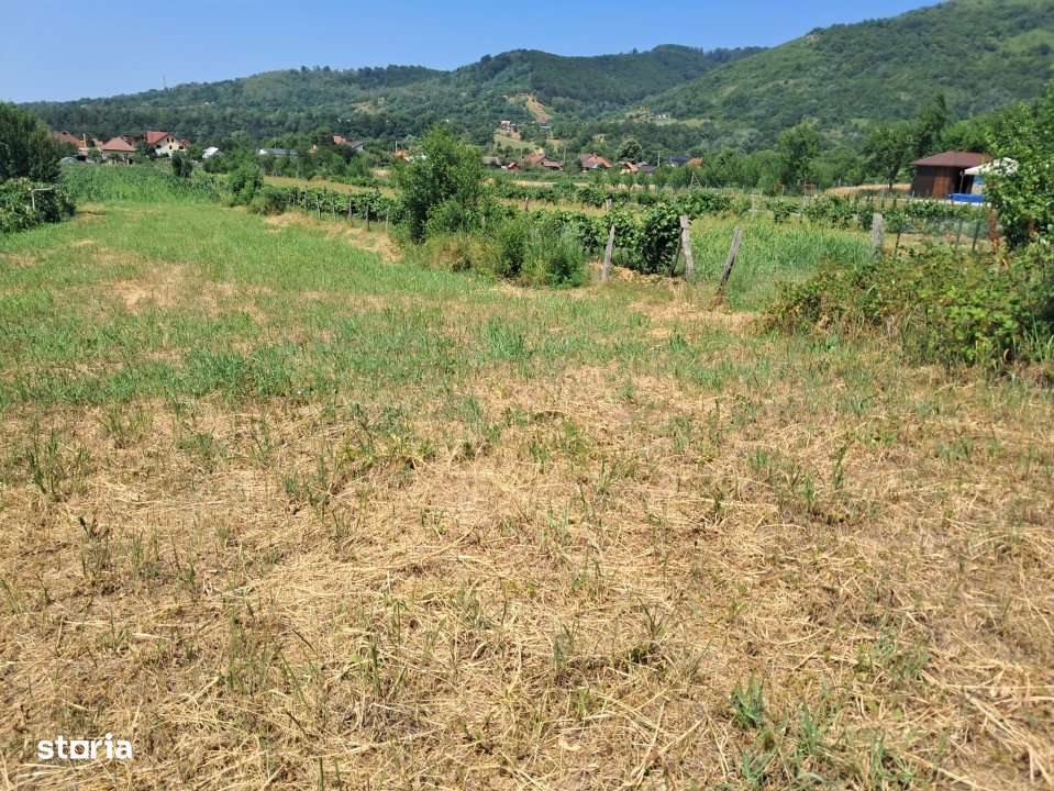 TEREN INTRAVILAN POLOVRAGI - Imagine principală: 3/9