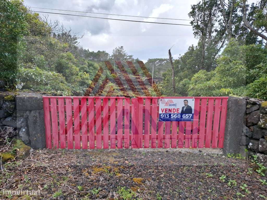 Terreno Rústico c/Vinha e viabilidade de Construção - Grande imagem: 2/12