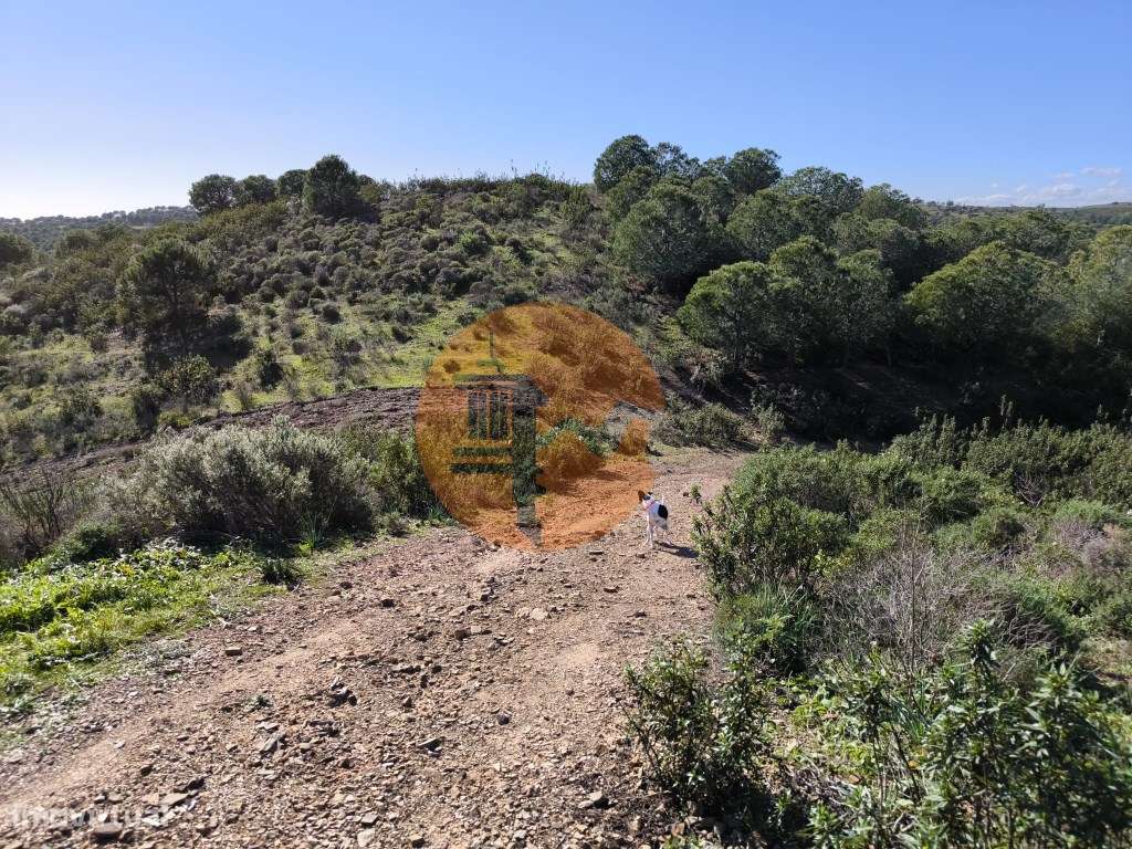 TERRENO COM 99.400 M2 - VISTA MAR - POSSIBILIDADE DE CONSTRUÇÃO - H... - Grande imagem: 3/28