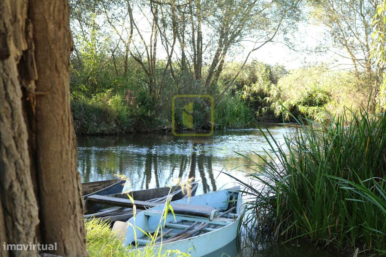 Terreno Para Construção  Venda em Valongo do Vouga,Águeda - Grande imagem: 4/8