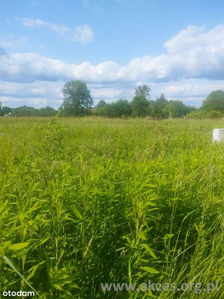 Piaski gm. Konstancin-Jez.dzialka budowlana 1598m2 - Pełny obrazek: 4/6