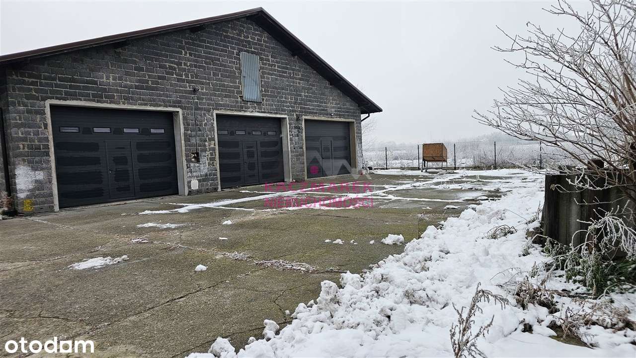 Na wynajem hale w Pszczynie - Pełny obrazek: 4/4