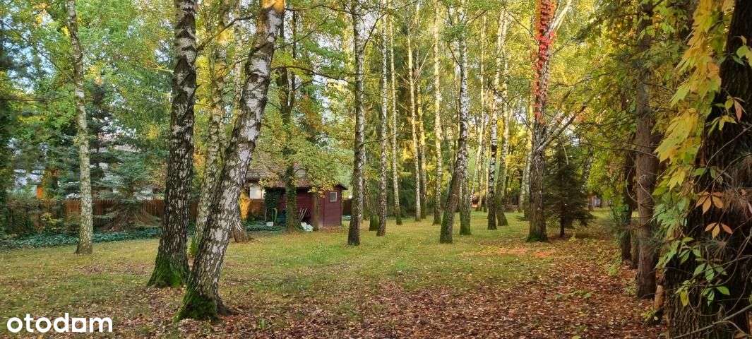 Komorów Budowlana Wkd-3