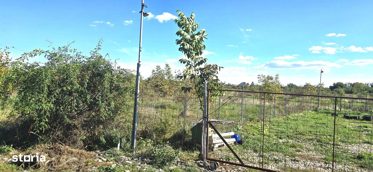 Teren intravilan Crevedia, Manastirea, 500mp - 17.000 euro, 0%comision-9