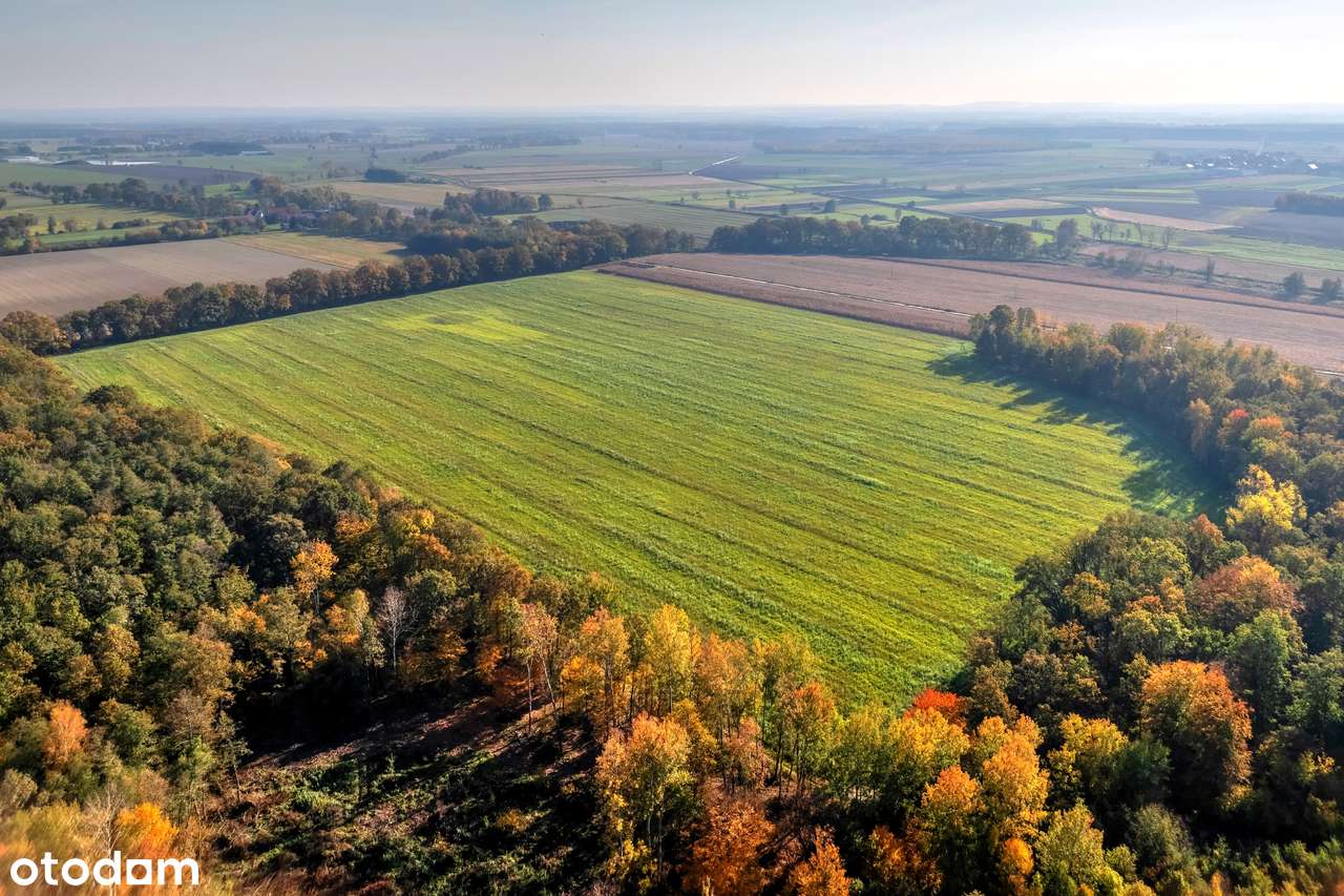 Działka inwestycyjna - hotel, dom opieki, centrum rehabilitacji, sport-8