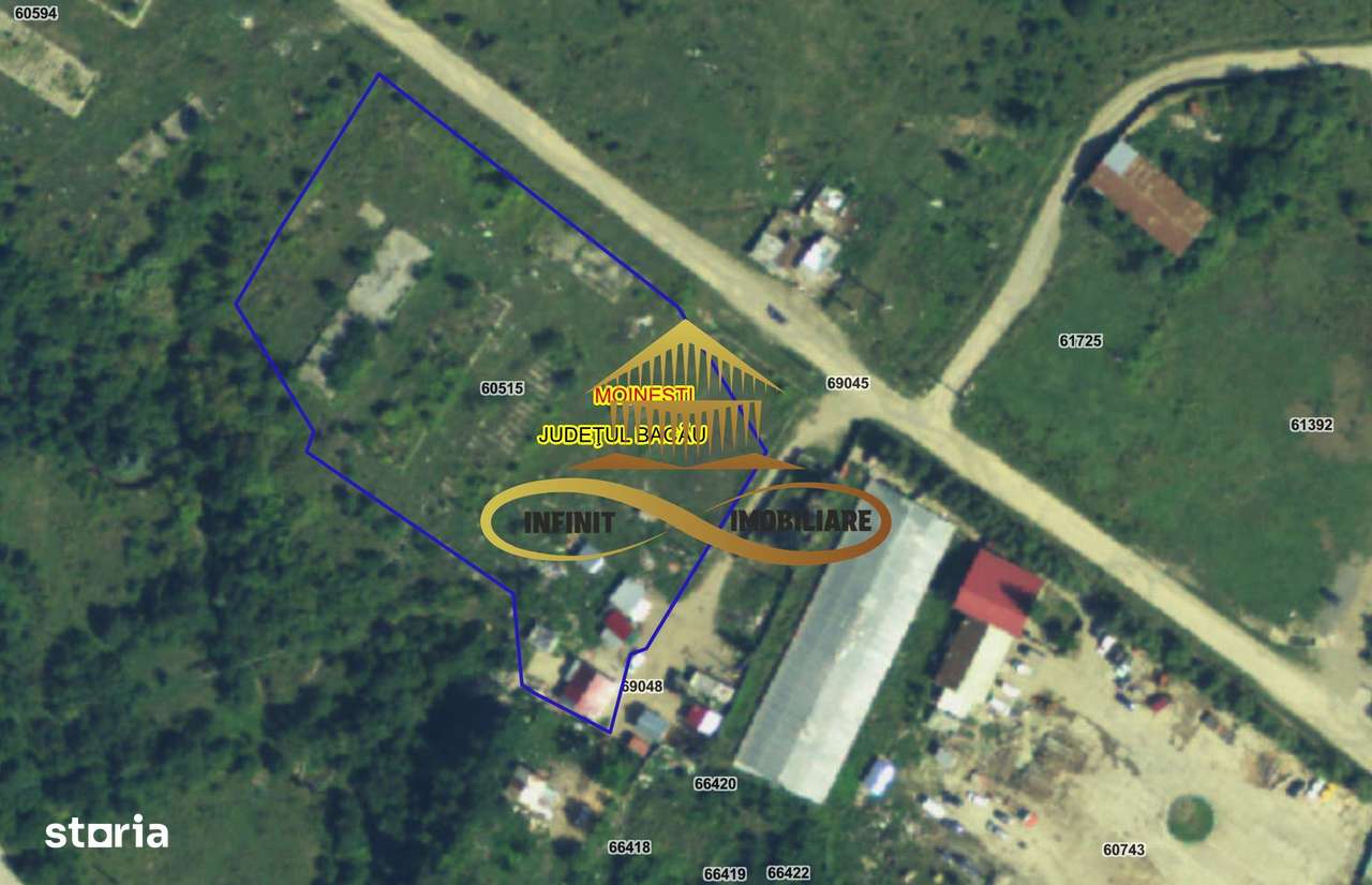 Teren pentru constructie hala indrustriala - Moinesti/Bacau - Imagine principală: 5/5