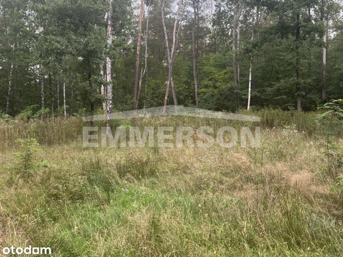 Pod bliźniaka lub wolnostojący-0