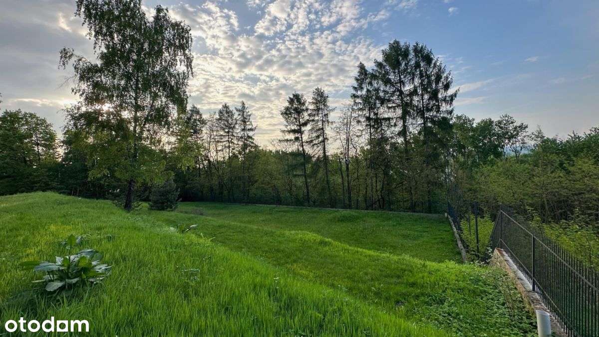 Wyjątkowa widokowa działka z prywatnym lasem-5
