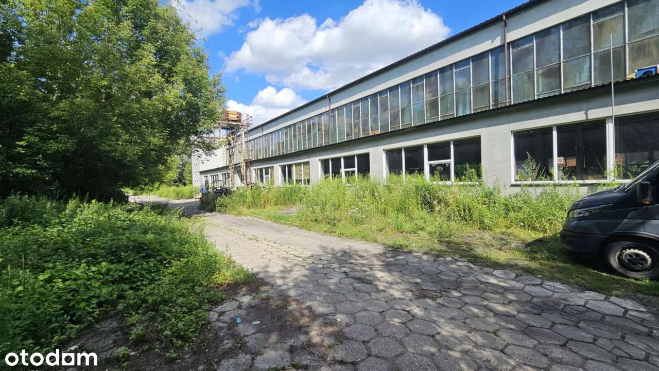 Obiekt produkcyjno-magazynowy Konstancin - Pełny obrazek: 4/19