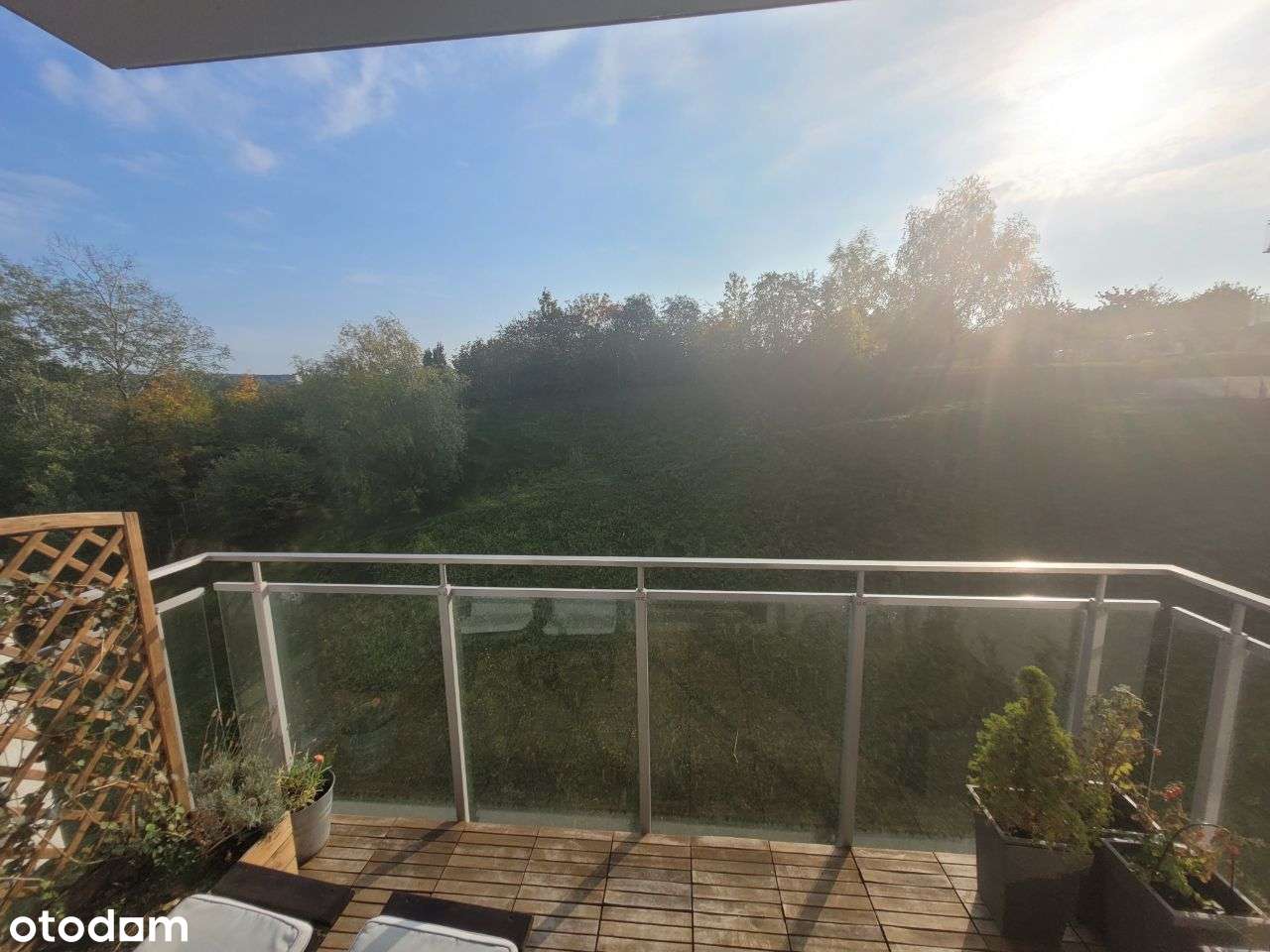 2 pokoje, koło Galerii Morena, widok na zieleń - Pełny obrazek: 4/11