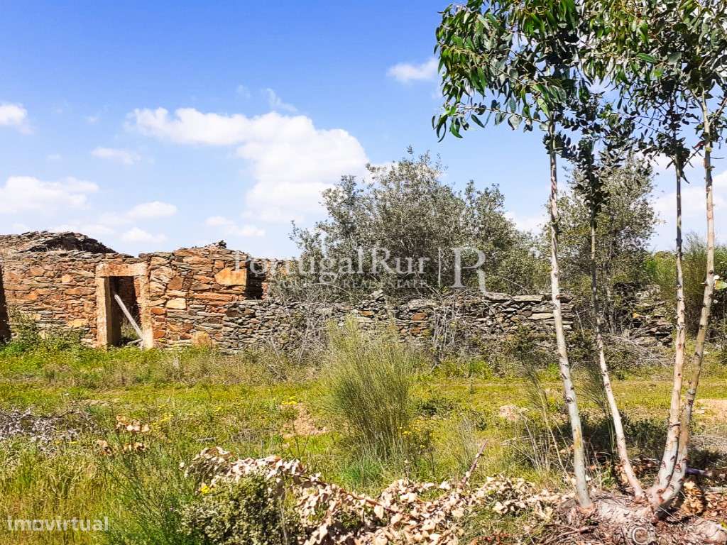 Propriedade Única com 3,5 ha Natureza Intocada, Água Abundante e Co... - Grande imagem: 3/16