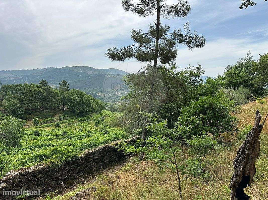 Terreno  para venda - Grande imagem: 4/24