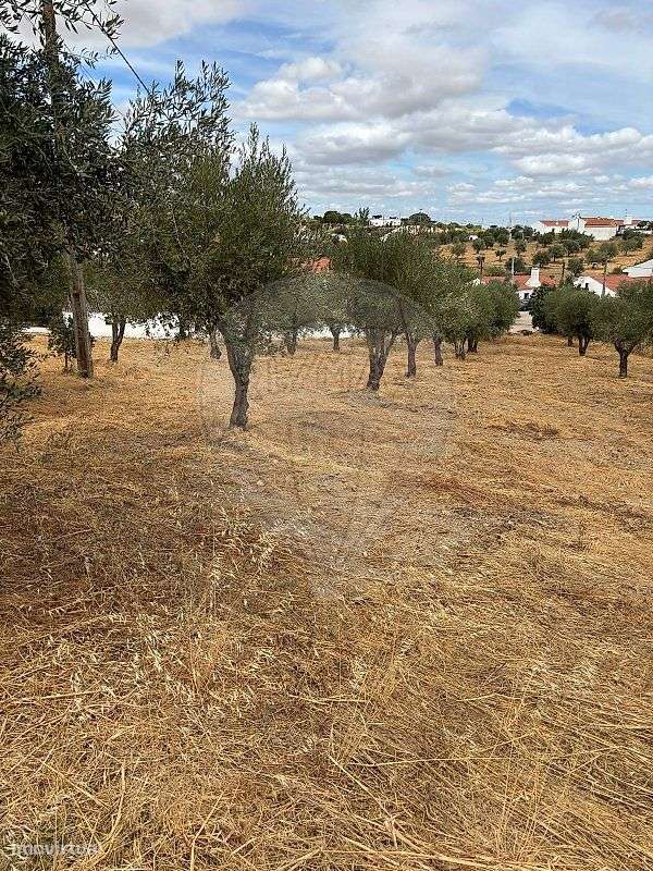 Moradia T1 para venda - Grande imagem: 4/9