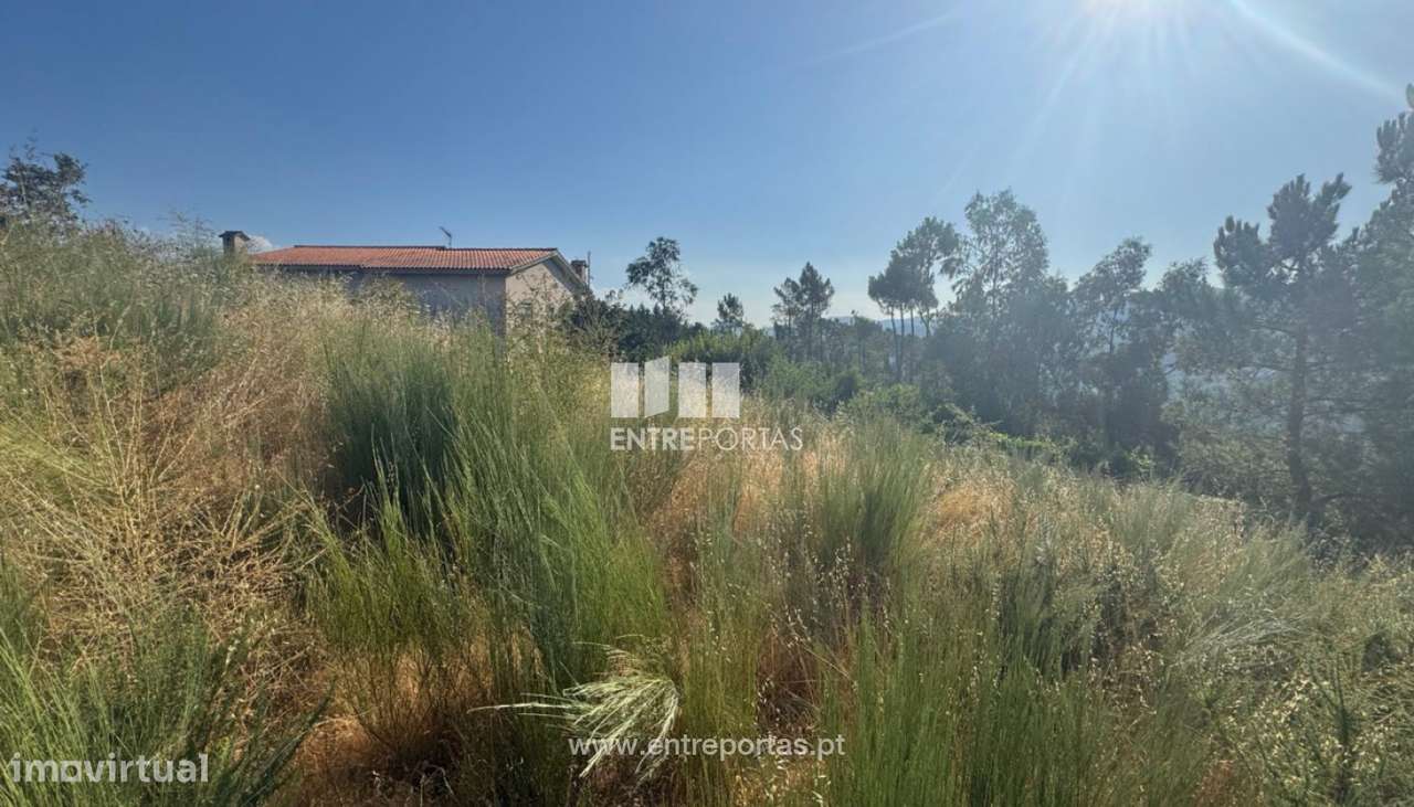 Venda Terreno, Várzea de Ovelha e Aliviada, Marco de Canaveses - Grande imagem: 5/26