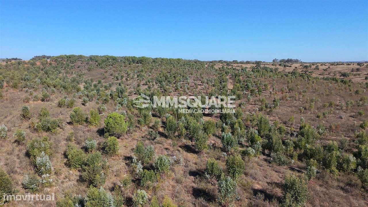 Herdade  Venda em Garvão e Santa Luzia,Ourique-33