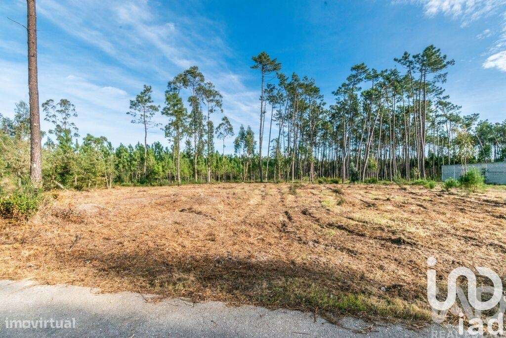 Terreno em Monte Redondo e Carreira - Grande imagem: 4/6