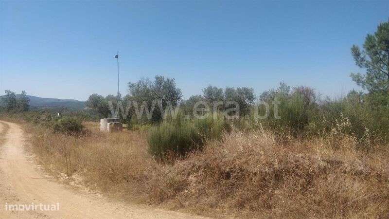 Terreno Rústico / Fundão, Capinha - Grande imagem: 4/5