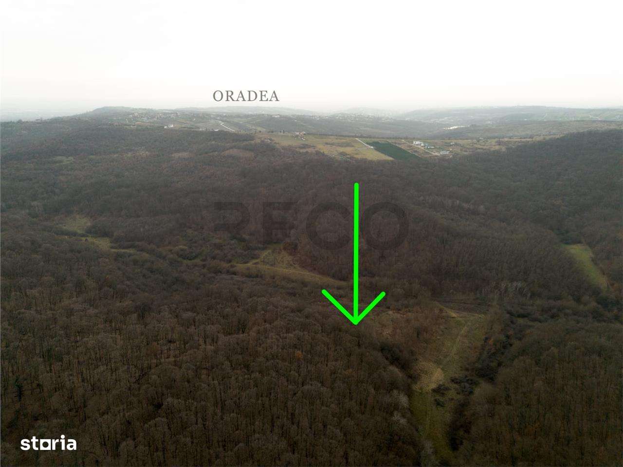 RECO . Teren extravilan . Saldabagiu de munte . - Imagine principală: 4/6