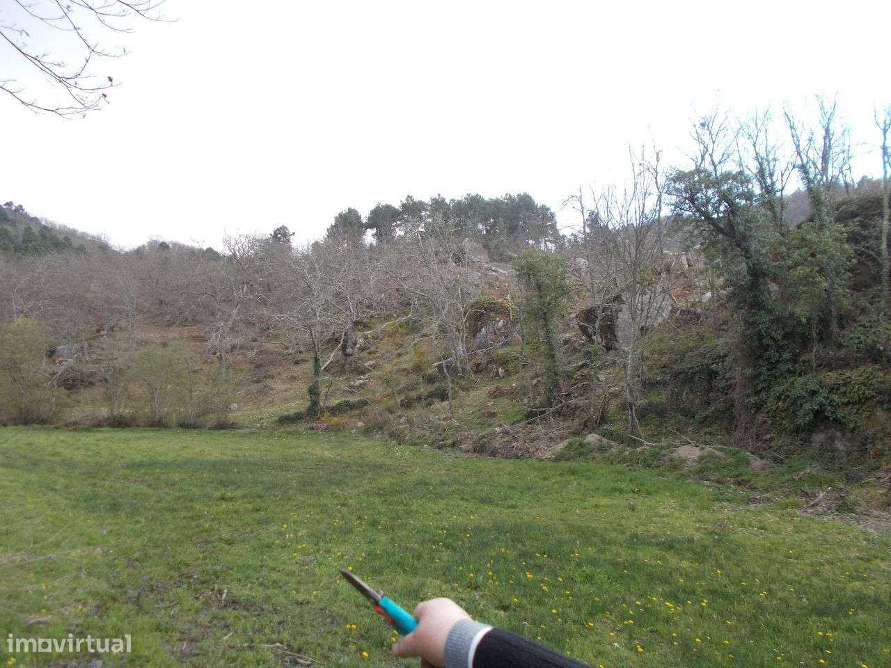 Moradia e Terreno 13442 m2 Pereiro Agrações-27
