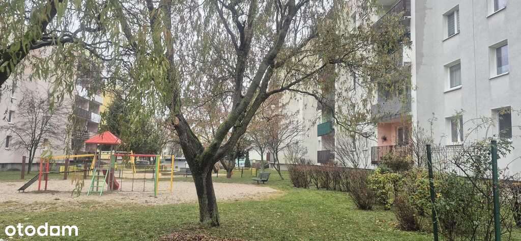 aktualna mieszkanie dwupokojowe z kuchnia - Pełny obrazek: 1/12